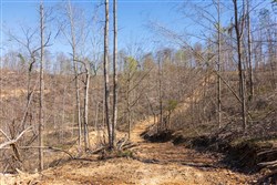 property photo for Creek Hollow Phase I Tract 53, 7.13 acres for sale in Rockcastle County, Kentucky