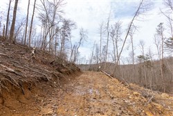 Creek Hollow Phase I Tract 6