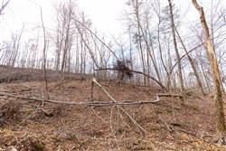 Creek Hollow Phase I Tract 6