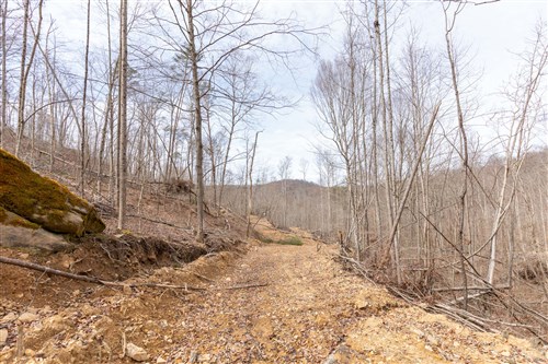 Creek Hollow Phase I Tract 6