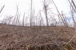 Creek Hollow Phase I Tract 6