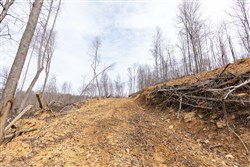 Creek Hollow Phase I Tract 6