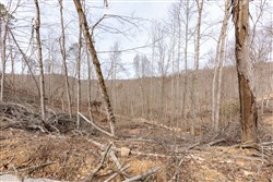 Creek Hollow Phase I Tract 6