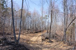 Creek Hollow Phase I Tract 9