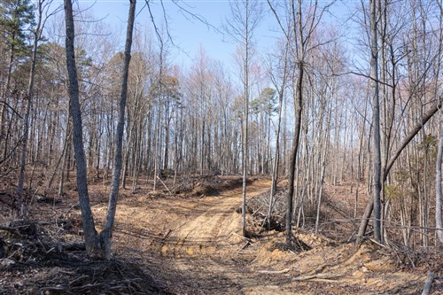 Creek Hollow Phase I Tract 9