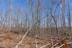 Creek Hollow Phase I Tract 9