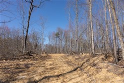 Creek Hollow Phase I Tract 9