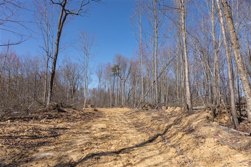 Creek Hollow Phase I Tract 9