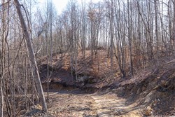 Creek Hollow Phase I Tract 9