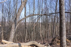 Creek Hollow Phase I Tract 9