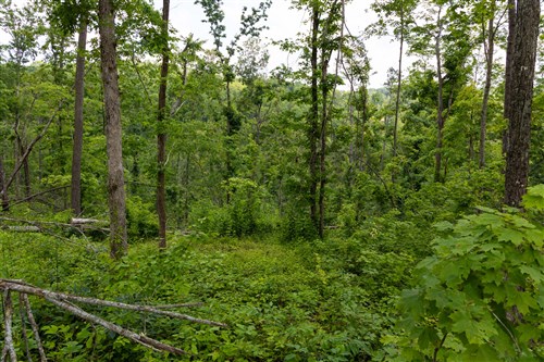 Creek Hollow Phase II Tract 57