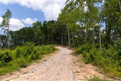 Creek Hollow Phase II Tract 57
