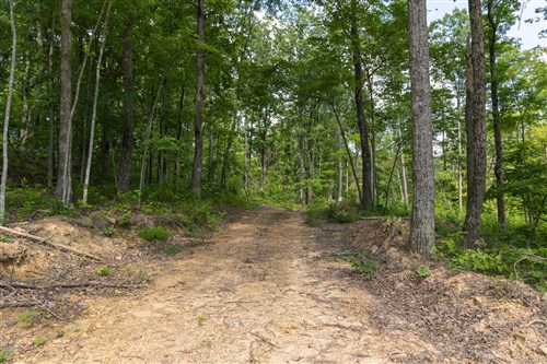 Creek Hollow Phase II Tract 59