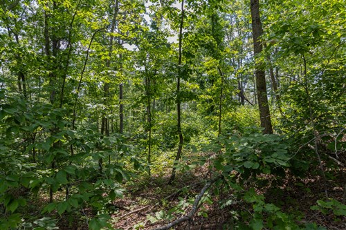 Creek Hollow Phase II Tract 59