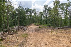 Creek Hollow Phase II Tract 59