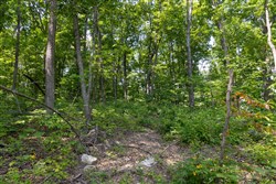 Creek Hollow Phase II Tract 59