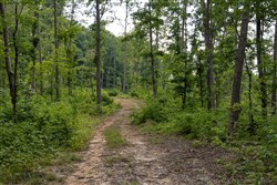 Creek Hollow Phase II Tract 60