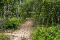 Creek Hollow Phase II Tract 60