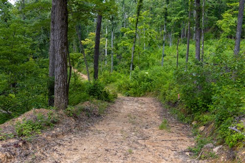 Creek Hollow Phase II Tract 61