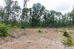 Creek Hollow Phase II Tract 61