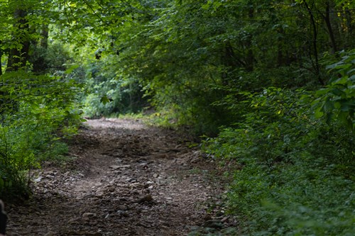 Creek Hollow Phase II Tract 62