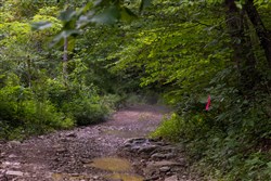 Creek Hollow Phase II Tract 62