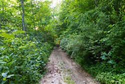 Creek Hollow Phase II Tract 64