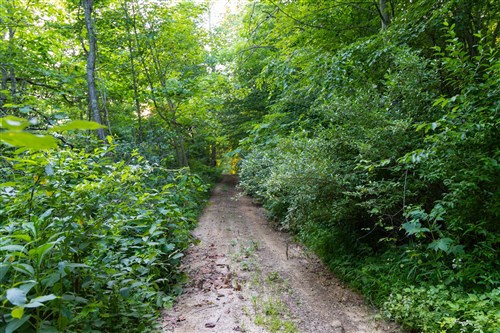 Creek Hollow Phase II Tract 64