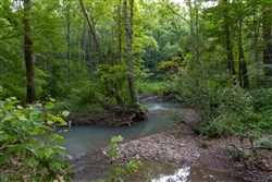 Creek Hollow Phase II Tract 64