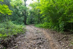 Creek Hollow Phase II Tract 64