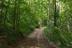 property photo for Creek Hollow Phase II Tract 65, 14.48 acres for sale in Rockcastle County, Kentucky
