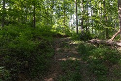 property photo for Creek Hollow Phase II Tract 65, 14.48 acres for sale in Rockcastle County, Kentucky