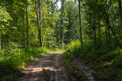Creek Hollow Phase II Tract 66