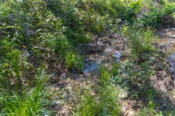 Creek Hollow Phase II Tract 66