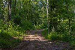 Creek Hollow Phase II Tract 66