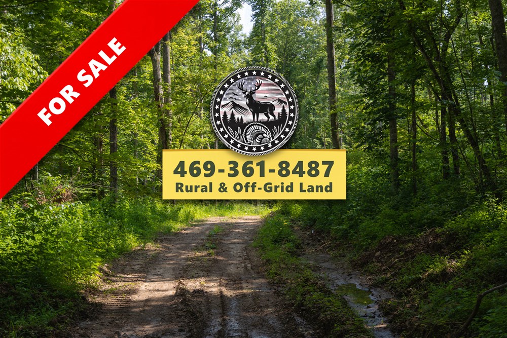 Creek Hollow Phase II Tract 66 - Primary