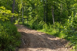 Creek Hollow Phase II Tract 67