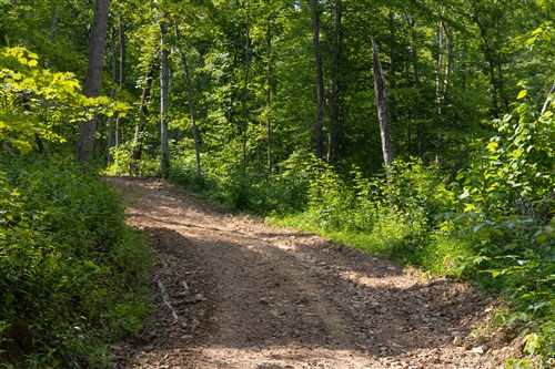 Creek Hollow Phase II Tract 67