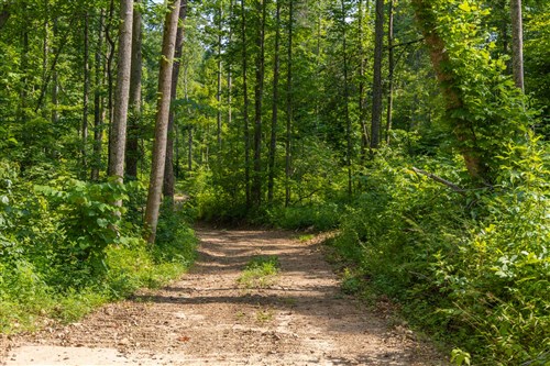Creek Hollow Phase II Tract 67