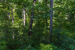 Creek Hollow Phase II Tract 67