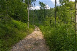 Creek Hollow Phase II Tract 69
