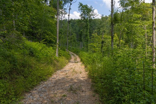 Creek Hollow Phase II Tract 69