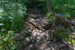 Creek Hollow Phase II Tract 69
