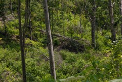 Creek Hollow Phase II Tract 69