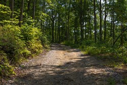 Creek Hollow Phase II Tract 69