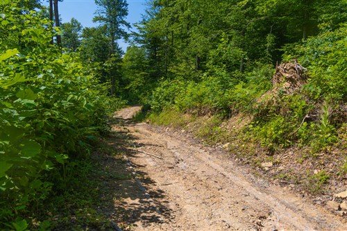Creek Hollow Phase II Tract 70