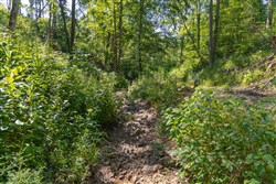 Creek Hollow Phase II Tract 70