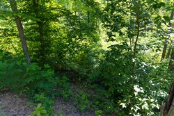 Creek Hollow Phase II Tract 70
