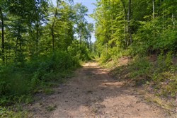 Creek Hollow Phase II Tract 70
