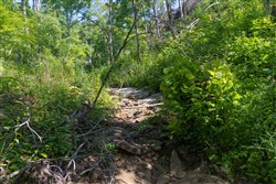 Creek Hollow Phase II Tract 70